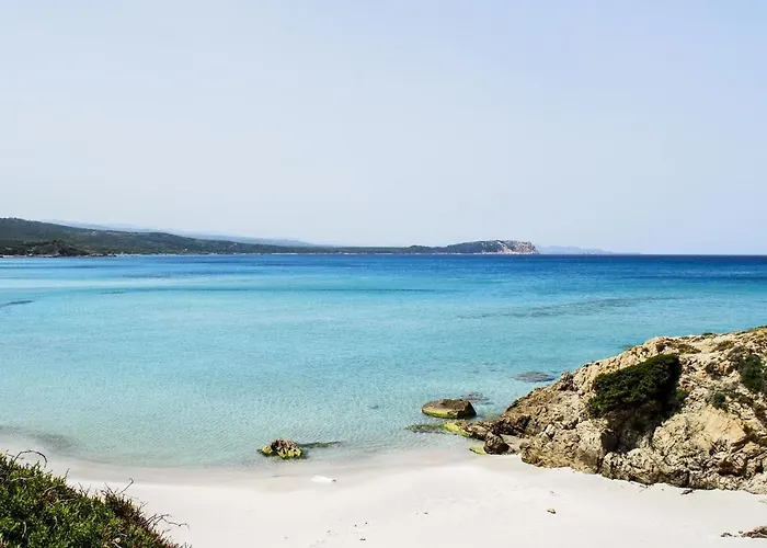 La Liccia Misia Villa Santa Teresa Gallura