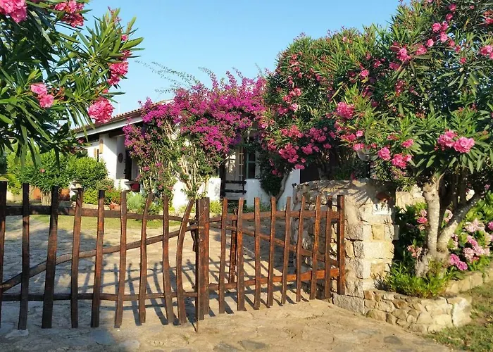 Villa La Liccia Misia Santa Teresa Gallura