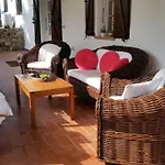 La Liccia Misia فيلة