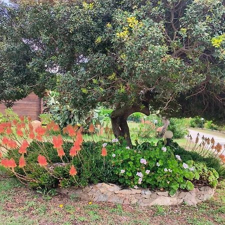 La Liccia Misia Санта-Тереза-Галлура