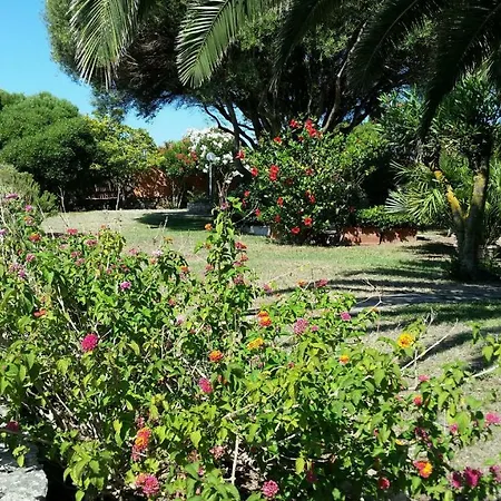 Вилла La Liccia Misia Санта-Тереза-Галлура