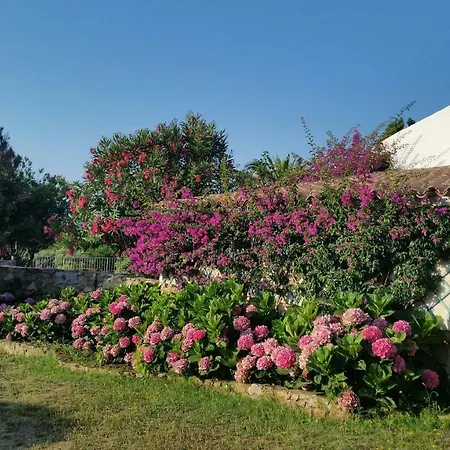 Villa La Liccia Misia *