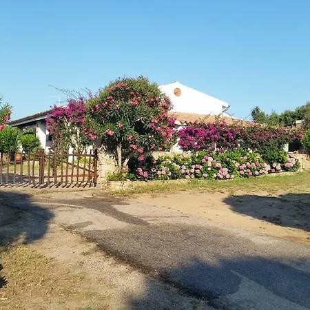 La Liccia Misia Vila Santa Teresa Gallura