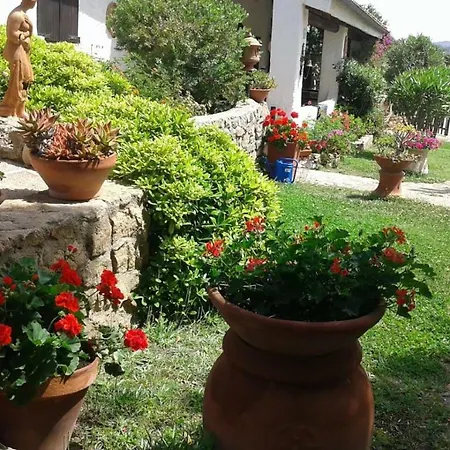 Vila La Liccia Misia Santa Teresa Gallura