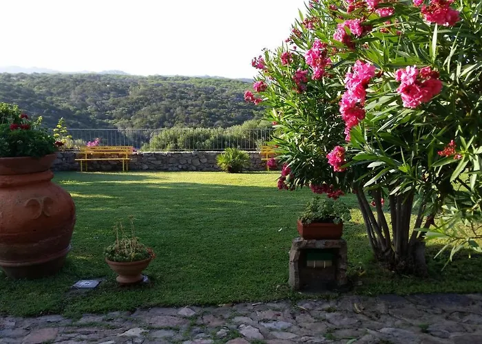 La Liccia Misia Villa Santa Teresa Gallura