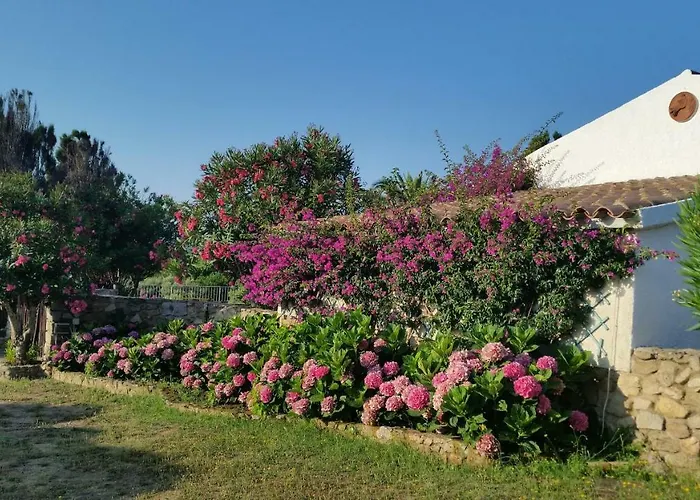 Villa La Liccia Misia *